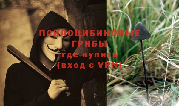 гашик Абаза